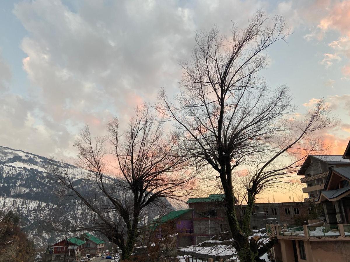 Solang Valley Resort Manāli エクステリア 写真