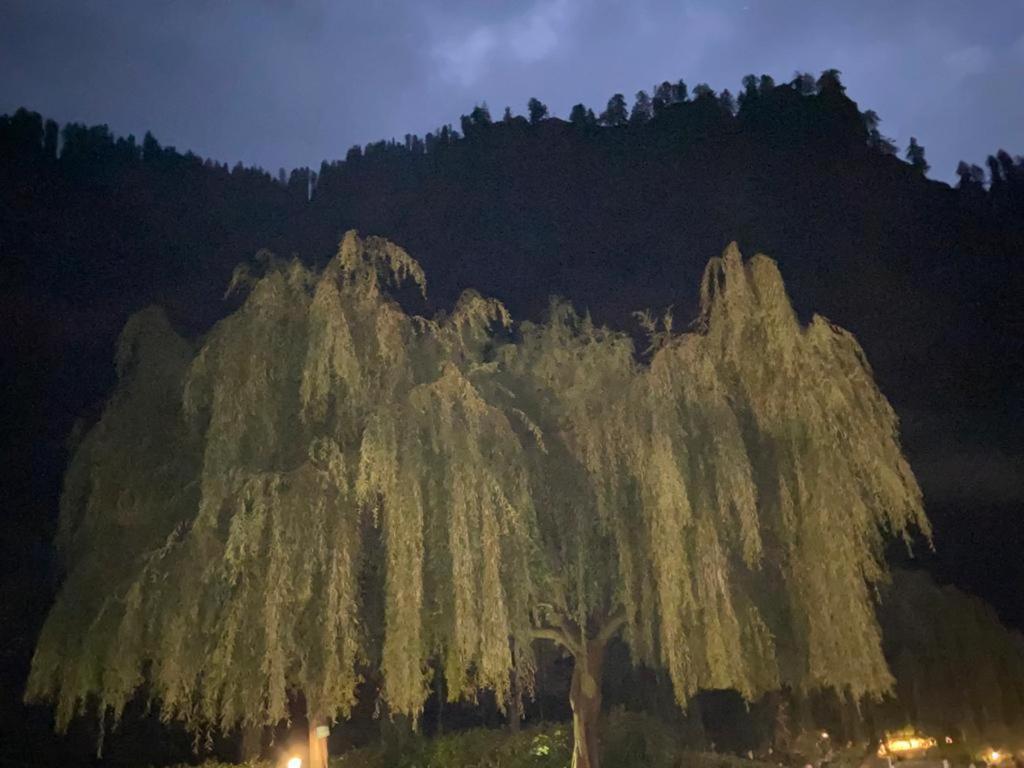 Solang Valley Resort Manāli エクステリア 写真